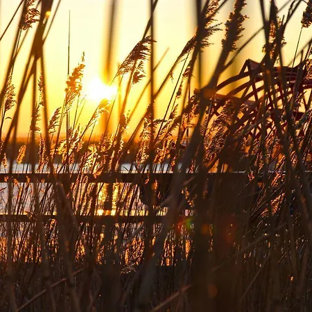 Hotel Hotel&restaurant Seebrücke Zingst