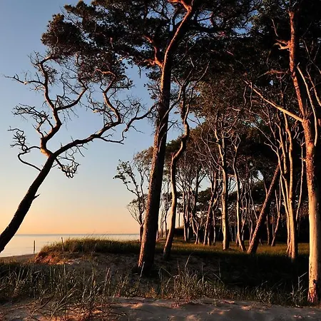 & Restaurant Seebruecke 3*